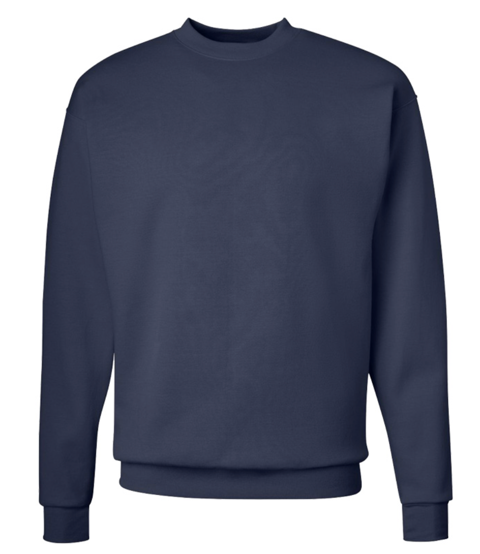 Hanes Ecosmart crewneck sweatshirt