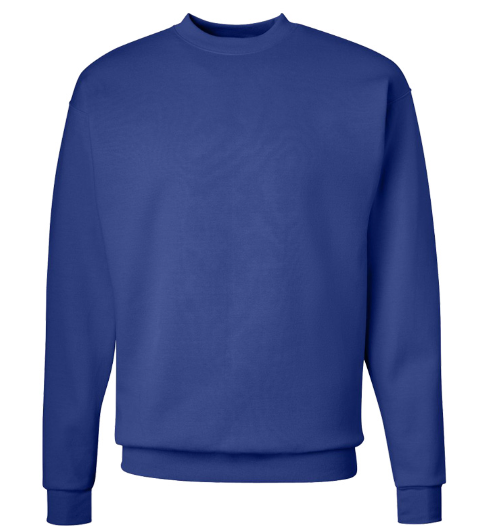Hanes Ecosmart crewneck sweatshirt
