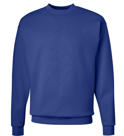 Hanes Ecosmart crewneck sweatshirt